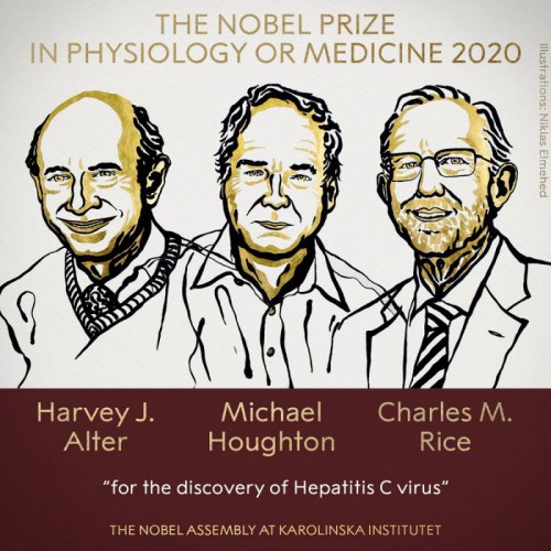 諾貝爾醫學獎：發現Ｃ型肝炎3美英學者共獲殊榮